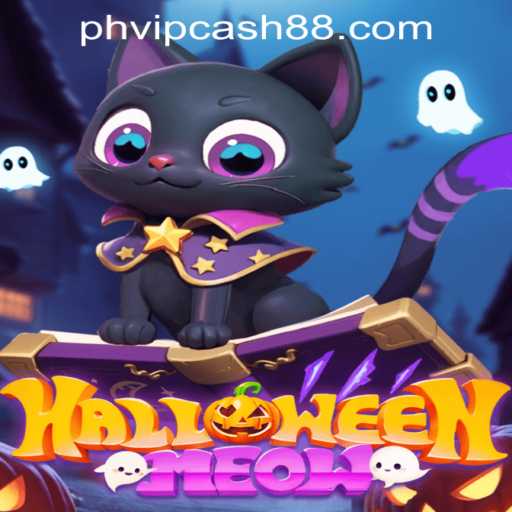 HalloweenMeow: Dive into the Spooky Paws of Adventure